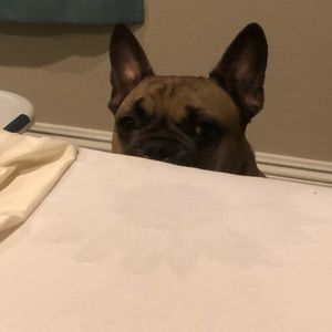 Meet your Posher, Chris